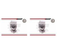 ESEN SKV 2x Cuscinetto Ruota Mozzo Posteriore per Nissan Qashqai + 2 I Note
