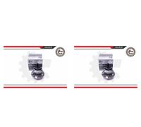 ESEN SKV 2x Cuscinetto Ruota Mozzo Posteriore per Toyota Prius Liftback Avensis