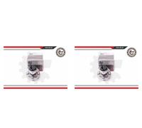 ESEN SKV 2x Cuscinetto Ruota Mozzo Posteriore per Toyota Yaris Corolla Berlina