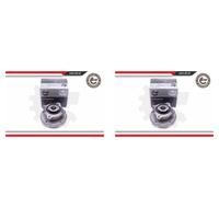ESEN SKV 2X Mozzo Ruota Kit Cuscinetti Anteriore Destro Sinistro Per BMW X1 E84