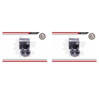 ESEN SKV 2X Mozzo Ruota Kit Cuscinetti Anteriore Destro Sinistro Per Lexus LS F3