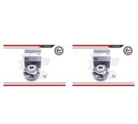ESEN SKV 2X Mozzo Ruota Kit Cuscinetti Anteriore Per KIA Carnival Grand VQ