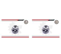 ESEN SKV 2X Mozzo Ruota Kit Cuscinetti Anteriore Per Nissan Murano II Z51