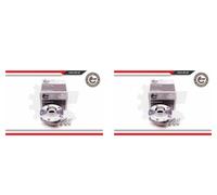 ESEN SKV 2X Mozzo Ruota Kit Cuscinetti Posteriore Per Audi A6 Avant 4F5 C6 4F2