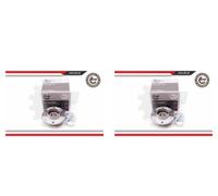 ESEN SKV 2X Mozzo Ruota Kit Cuscinetti Posteriore Per Citroën C5 I DC DE RC RE
