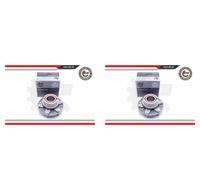 ESEN SKV 2X Mozzo Ruota Kit Cuscinetti Posteriore Per KIA Carnival Grand VQ