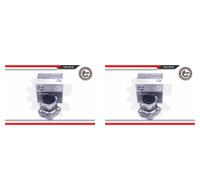 ESEN SKV 2X Mozzo Ruota Kit Cuscinetti Posteriore Per Nissan Juke Leaf F15 ZE0