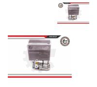 ESEN SKV 2X Pinza Freno Posteriore Sinistra Destra Per Audi A4 8D2 B5 8D5
