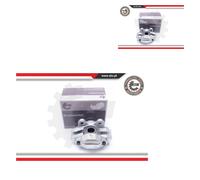 ESEN SKV 2X Pinza Freno Posteriore Sinistra Destra Per Land Rover Defender
