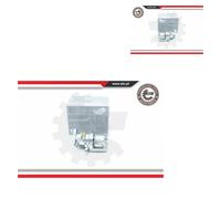 ESEN SKV 2X Pinza Freno Posteriore Sinistra Destra Per Renault Master II FD
