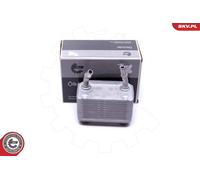 ESEN SKV 31SKV220 Radiatore olio, Olio motore per BMW