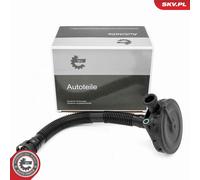 ESEN SKV 31SKV410 Valvola, Ventilazione carter per SEAT,SKODA,VW