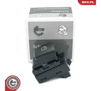 ESEN SKV 37SKV484 Interruttore, Alzacristallo per SMART