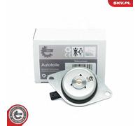 ESEN SKV 39SKV902 Magnete centrale, Regolazione albero a camme per CHEVROLET,OPE
