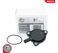 ESEN SKV 39SKV905 Magnete centrale, Regolazione albero a camme per DACIA,MERCEDE