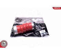 ESEN SKV 43SKV219 Flessibile aria alimentazione per BMW