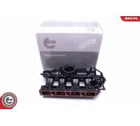 ESEN SKV 49SKV010 Modulo collettore aspirazione per AUDI