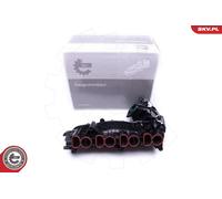ESEN SKV 49SKV018 Modulo collettore aspirazione per BMW
