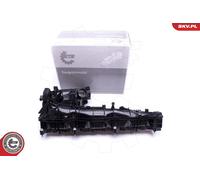 ESEN SKV 49SKV019 Modulo collettore aspirazione per BMW