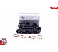 ESEN SKV 49SKV035 Modulo collettore aspirazione per VW