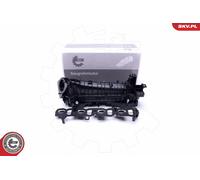 Modulo collettore di aspirazione BMW 1 2 3 4 5 X1 X3 X5