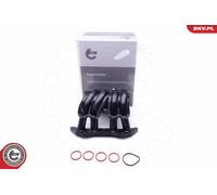 ESEN SKV 49SKV044 Modulo collettore aspirazione per CITROËN,PEUGEOT