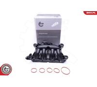 ESEN SKV 49SKV045 Modulo collettore aspirazione per BMW,CITROËN,DS,MINI,OPEL,PEU