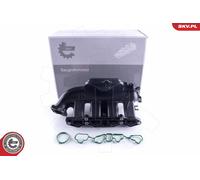 ESEN SKV 49SKV058 Modulo collettore aspirazione per CHEVROLET,OPEL