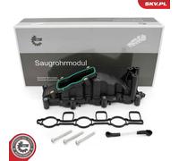 ESEN SKV Collettore di aspirazione 49SKV084 per Audi A6 Avant, Q5 e VW Touareg, Phaeton