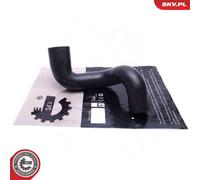 ESEN SKV 54SKV099 Flessibile aria alimentazione per LAND ROVER
