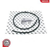 ESEN SKV 54SKV269 Tubo flessibile, Carburante perso per BMW