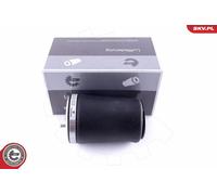 ESEN SKV 58SKV001 Molla pneumatica, Autotelaio per BMW