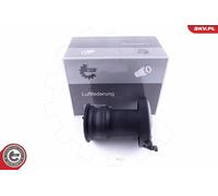 ESEN SKV 58SKV015 Molla pneumatica, Autotelaio per CITROËN,FIAT,PEUGEOT
