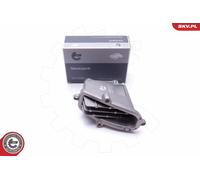 ESEN SKV 59SKV118 Centralina, Illuminazione per BMW