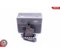 ESEN SKV 59SKV128 Centralina, Illuminazione per BMW