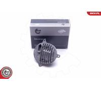 ESEN SKV 59SKV139 Centralina, Faro dinamico(per curve) per BMW
