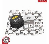 ESEN SKV 61SKV036 Tappo, serbatoio refrigerante per BMW,MINI