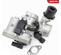 ESEN SKV 62SKV170 Catalizzatore