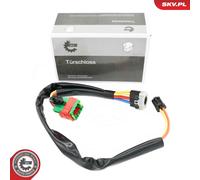 ESEN SKV 65SKV010 Interruttore, Accensione / motorino d'avviamento per CITROËN