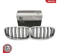ESEN SKV 66SKV102 Griglia radiatore per BMW 3 Coupe (E92) cromo