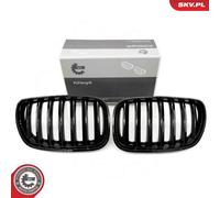 ESEN SKV 66SKV276 Griglia radiatore