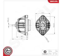 ESEN SKV 75SKV247 Sospensione, Motore per BMW