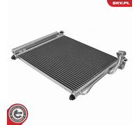 ESEN SKV 96SKV241 Centralina, Tempo incandescenza per DODGE,MERCEDES-BENZ