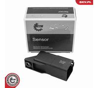 ESEN SKV 96SKV273 Centralina, Tempo incandescenza per AUDI,SEAT,SKODA,VW