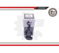 ESEN SKV Bobina Accensione Modulo Adatto A per Porsche Cayenne 955 9PA 03SKV259