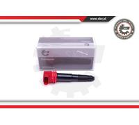 Esen Skv Bobina Di Accensione Centrale Per Porsche Cayenne 955 92A Panamera 970