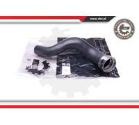ESEN SKV Carica per Opel Vivaro Scatola Renault Trafic III Bus 1.6 DCI