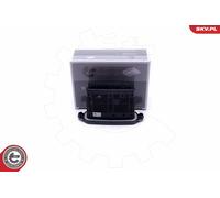 ESEN SKV Centralina Ballast Adatto A per BMW X3 F25