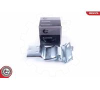 ESEN SKV Cerniera portiera 96SKV761 per FIAT Ducato Kastenwagen (250, 290)