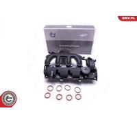 ESEN SKV Copertura Valvola Testata Per Ford Kuga I C-Max Citroën C4 DM2